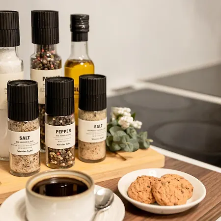 Aurora House Near Santa Claus