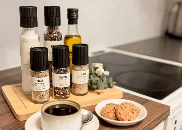 Aurora House Near Santa Claus